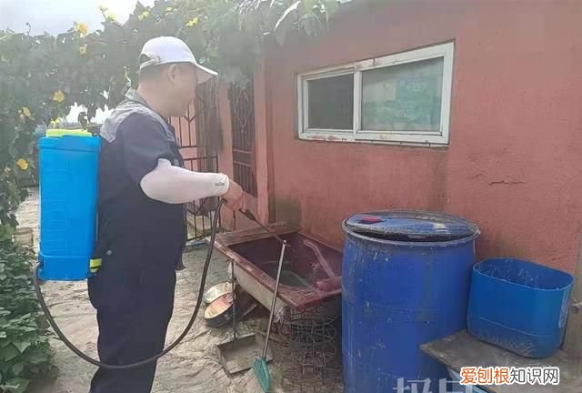 帮到底|老鼠每晚在居民家中“聚会”,物业:楼下有餐馆和食堂,将加大消杀力度