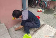 帮到底｜老鼠每晚在居民家中“聚会”，物业：楼下有餐馆和食堂，将加大消杀力度