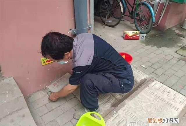 帮到底|老鼠每晚在居民家中“聚会”,物业:楼下有餐馆和食堂,将加大消杀力度