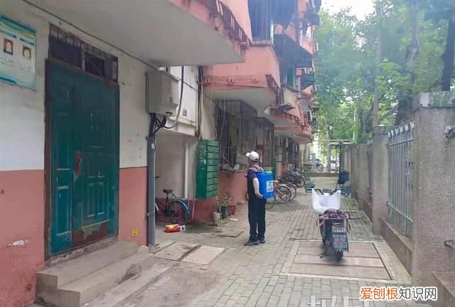 帮到底|老鼠每晚在居民家中“聚会”,物业:楼下有餐馆和食堂,将加大消杀力度