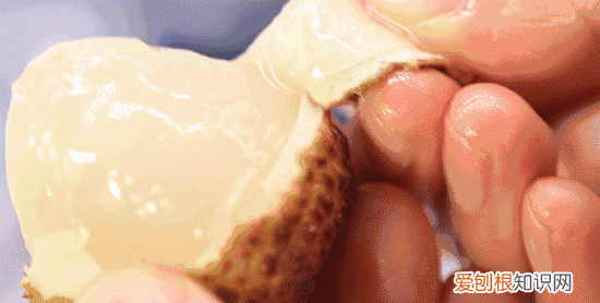 荔枝如何挑选最好的