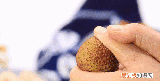 荔枝如何挑选最好的