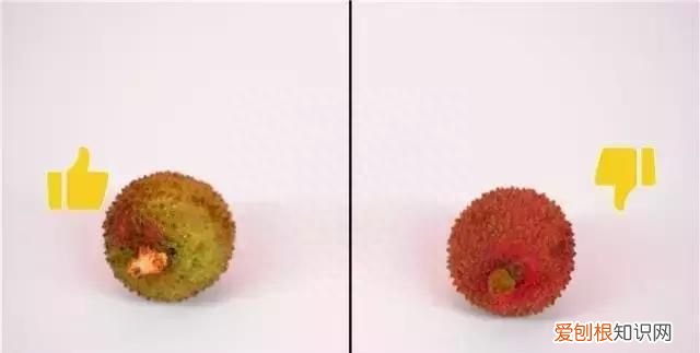 荔枝如何挑选最好的