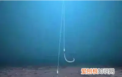 离底钓鱼怎么调漂，离底十公分怎么调漂