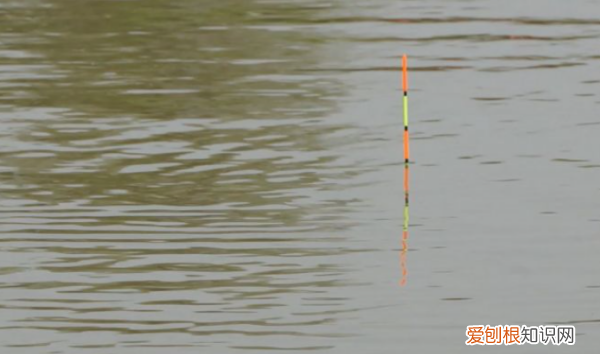 离底钓鱼怎么调漂，离底十公分怎么调漂