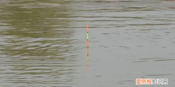 离底钓鱼怎么调漂，离底十公分怎么调漂