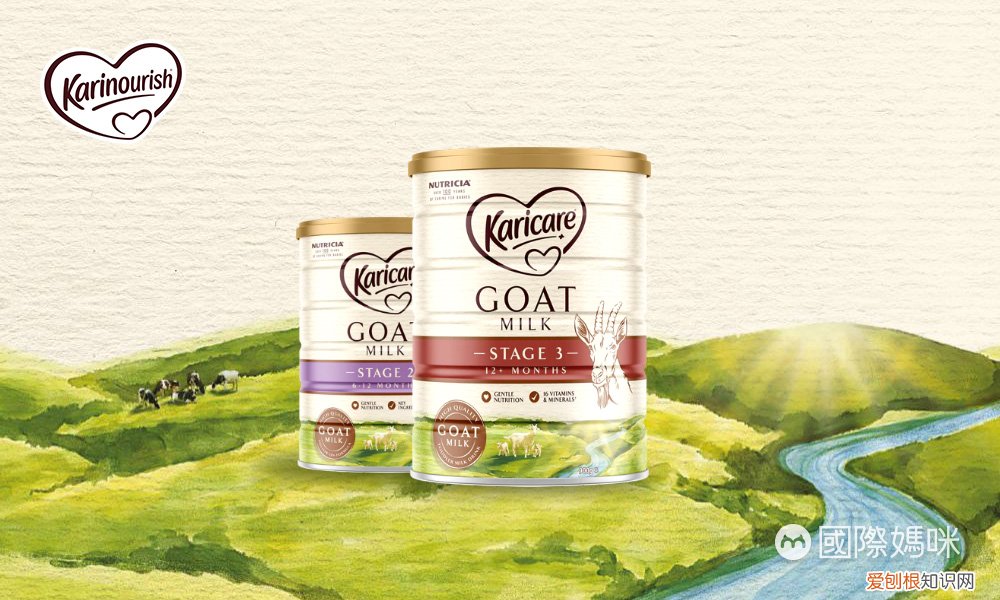 karicare是什么牌子奶粉？