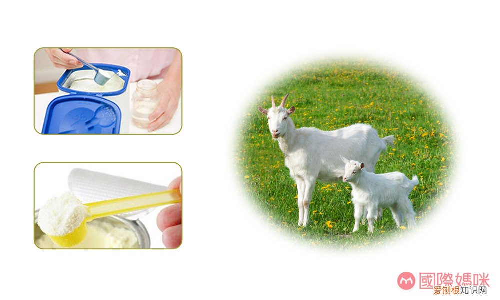 karicare是什么牌子奶粉？