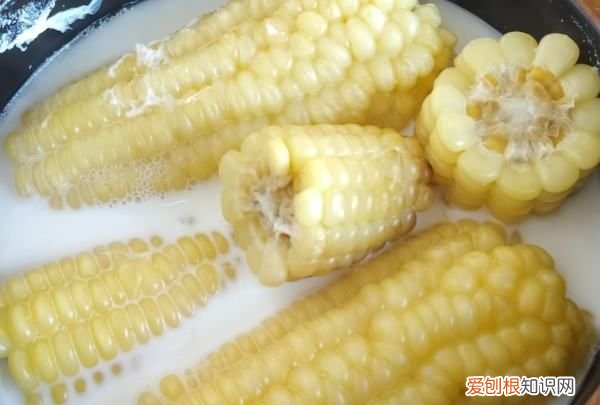 怎样煮玉米又甜又粘稠,煮玉米怎么才能更加软糯