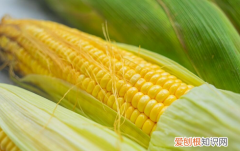 怎样煮玉米又甜又粘稠，煮玉米怎么才能更加软糯