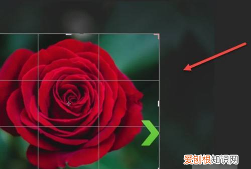 ps怎么截图,ps要怎么样才可以截图