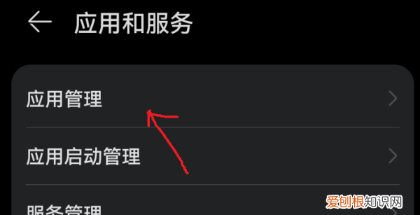 怎么打开麦克风权限，电脑麦克风权限在哪里开启