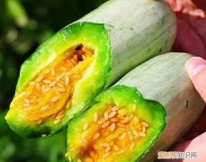 羊角蜜和香瓜的区别，牛角蜜和羊角蜜的区别