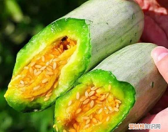 羊角蜜和香瓜的区别,牛角蜜和羊角蜜的区别