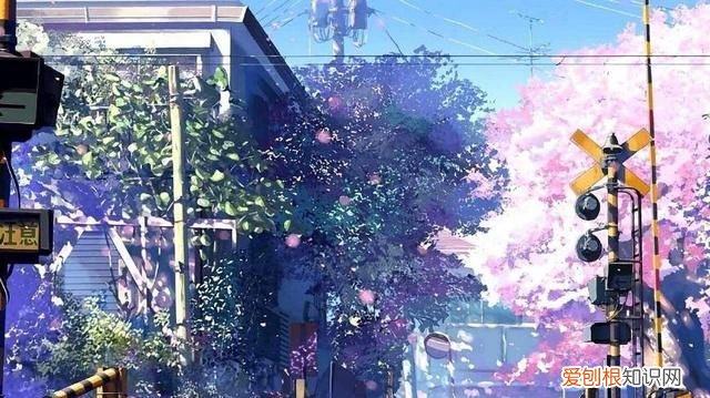 治愈系日本动漫除了新海诚还有谁