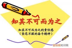 “明知不可为为而为之”什么意思