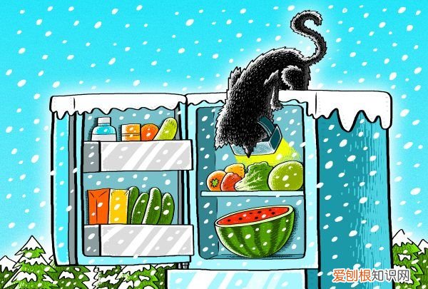 冰箱多久清理一次冰霜，电冰箱多长时间清除一次冰