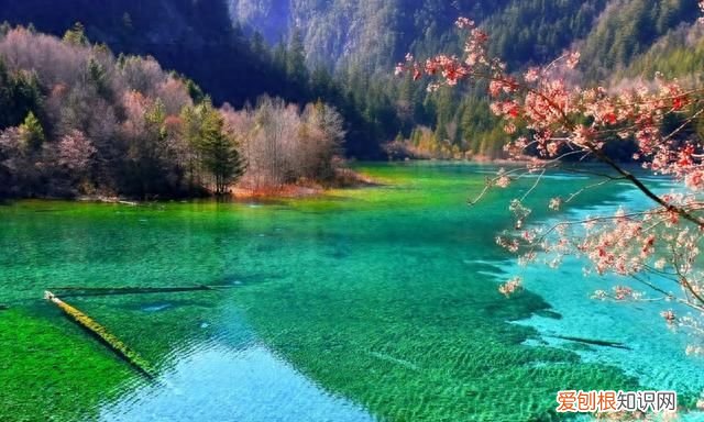 盛夏入秋的唯美诗句最走心 初秋的诗词唯美