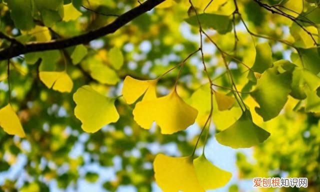 盛夏入秋的唯美诗句最走心 初秋的诗词唯美