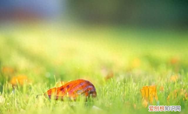 盛夏入秋的唯美诗句最走心 初秋的诗词唯美