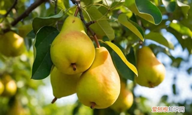 盛夏入秋的唯美诗句最走心 初秋的诗词唯美