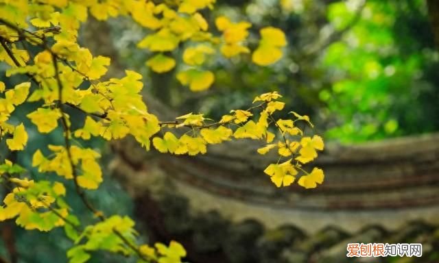 盛夏入秋的唯美诗句最走心 初秋的诗词唯美