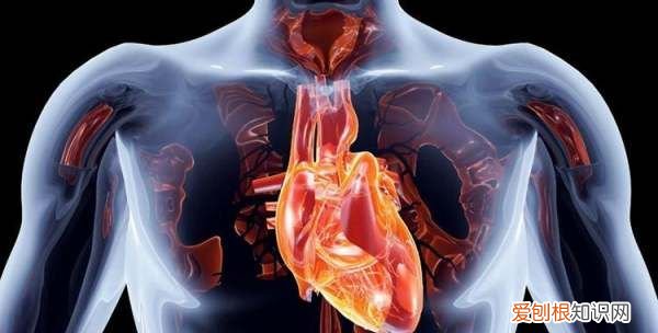 跑步后睡觉心慌心悸，运动后心慌是什么原因