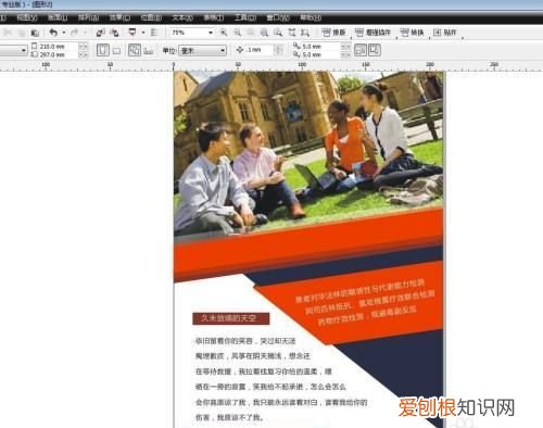 cdr咋的才可以排版，cdr怎么排版多张图片