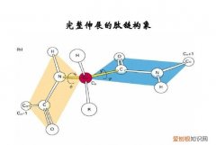 肽链是什么，肽链的实质是什么