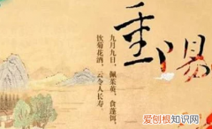 关于重阳节的诗句，有关于重阳节的诗句有哪些