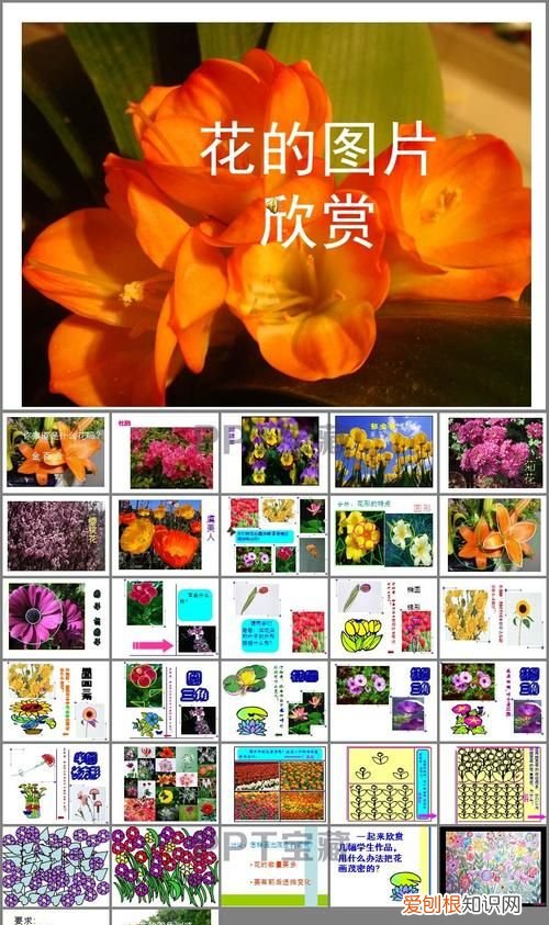 茂密的花怎么画，茂密的花课后评语怎么写