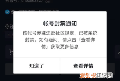 抖音不能关注别人怎么回事