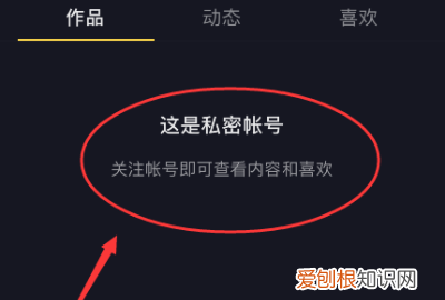 抖音不能关注别人怎么回事