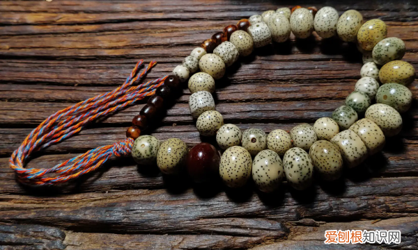 星月菩提怎么盘,星月菩提的盘玩方法