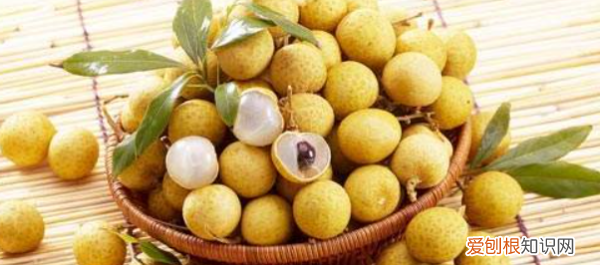 水果在一天内什么时候吃最好,一天中什么时候吃水果最好不发胖