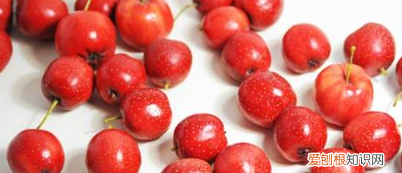 水果在一天内什么时候吃最好,一天中什么时候吃水果最好不发胖