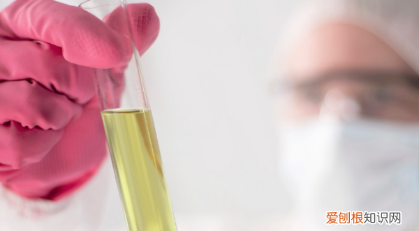 运动后肌酐会升高,健身导致肌酐升高多久恢复正常