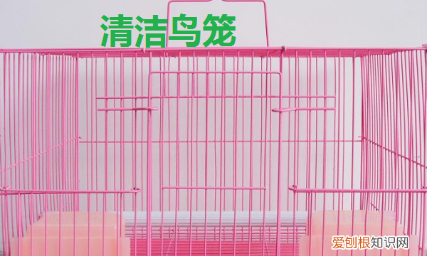 鹦鹉冬天怎么保暖，虎皮鹦鹉冬天怎么保暖好呢?