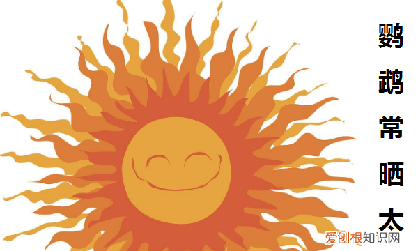 鹦鹉冬天怎么保暖，虎皮鹦鹉冬天怎么保暖好呢?