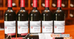 merlot是什么红酒，奔富是什么档次的红酒