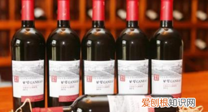 merlot是什么红酒，奔富是什么档次的红酒