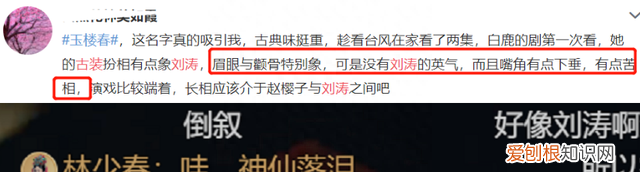 白鹿杨蓉 白鹿杨蓉龚俊