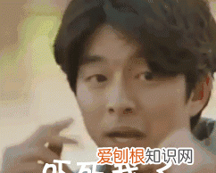 冰箱里的东西可以直接下油锅吗 冰箱里面不能直接下油锅