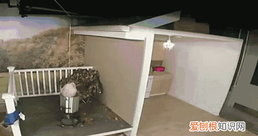 冰箱里的东西可以直接下油锅吗 冰箱里面不能直接下油锅