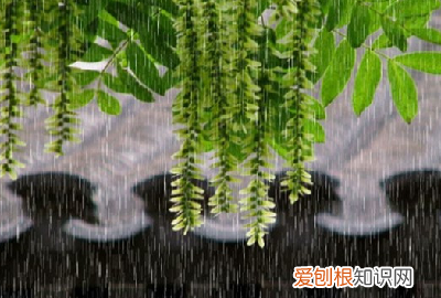 写景的角度有哪些,多角度描写景物作文200字