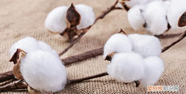 旧衣堆积如山怎么处理