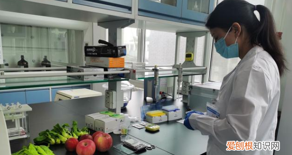 食品专业属于什么大类，食品属于什么学科门类专业