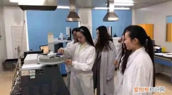 食品专业属于什么大类,食品属于什么学科门类专业