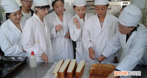 食品专业属于什么大类,食品属于什么学科门类专业