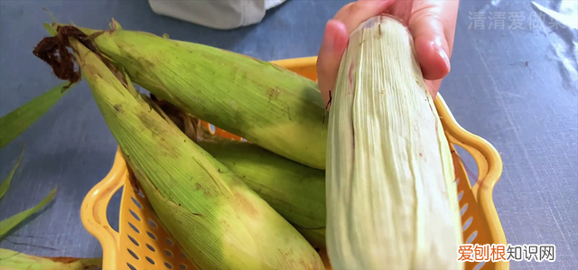 煮玉米时在水里加点它,味道香甜软糯,比外面卖的还好吃